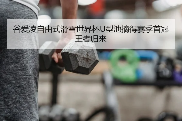 gu-ai-ling-zi-you-shi-hua-xue-shi-jie-bei-xing-chi-zhai-de-sai-ji-shou-guan-wang-zhe-gui-lai-2-387.jpg